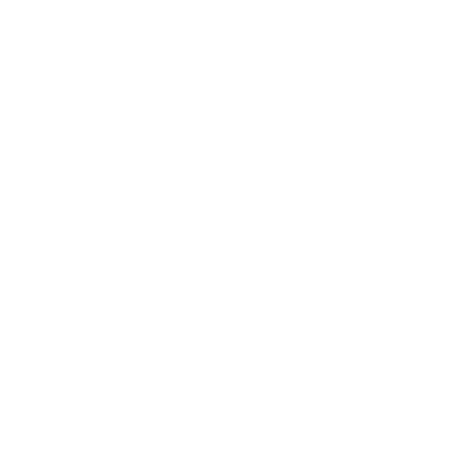  SaltyBird 