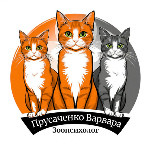  Варвара Прусаченко Зоопсихолог, специалист по гуманной коррекции поведения кошек 