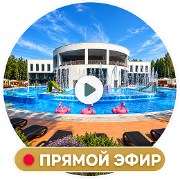 Прямой эфир с онлайн-камеры парк-отеля Хвоя