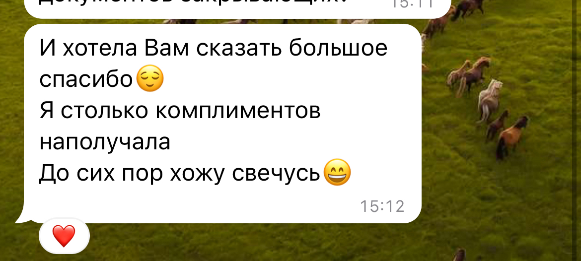 Отзыв 12