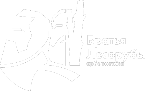  БРАТЬЯ ЛЕСОРУБЫ 