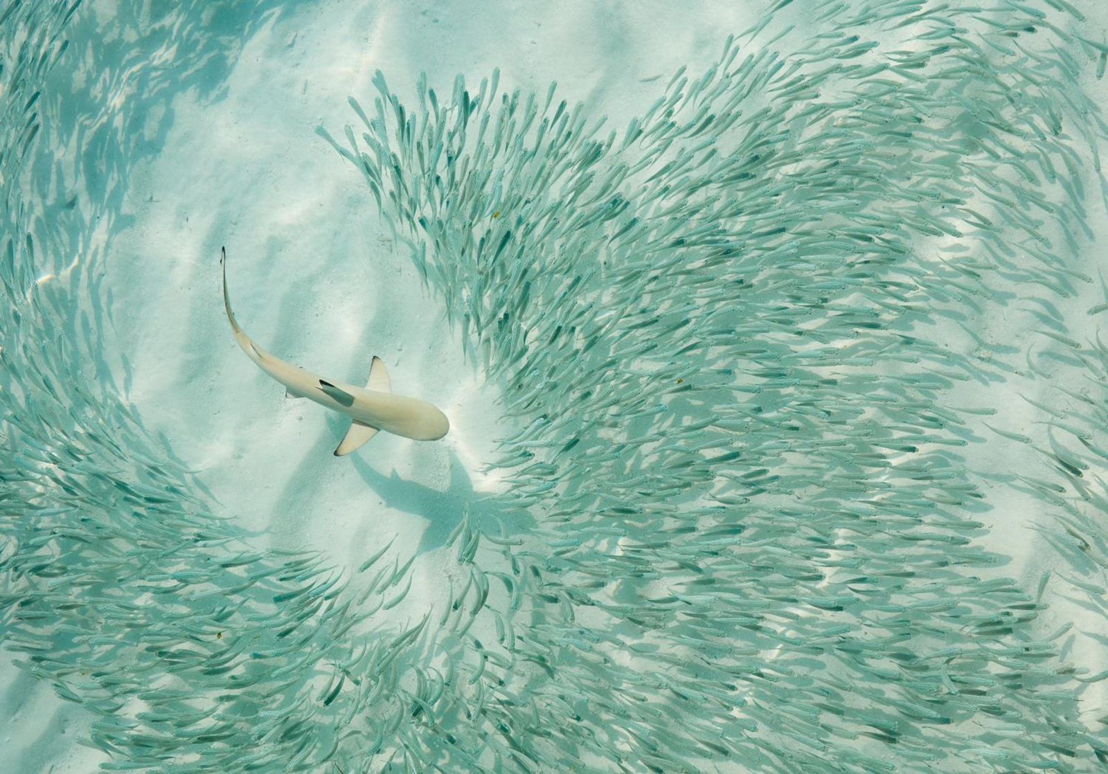Sun Siyam Iru Fushi