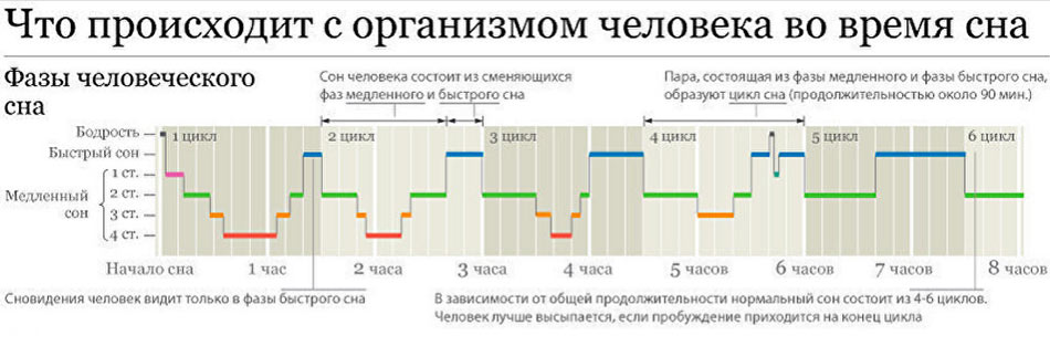 Цикл сна сколько