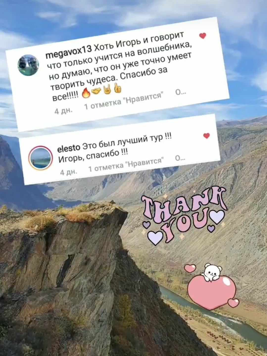 Цветение маральника. Алтай