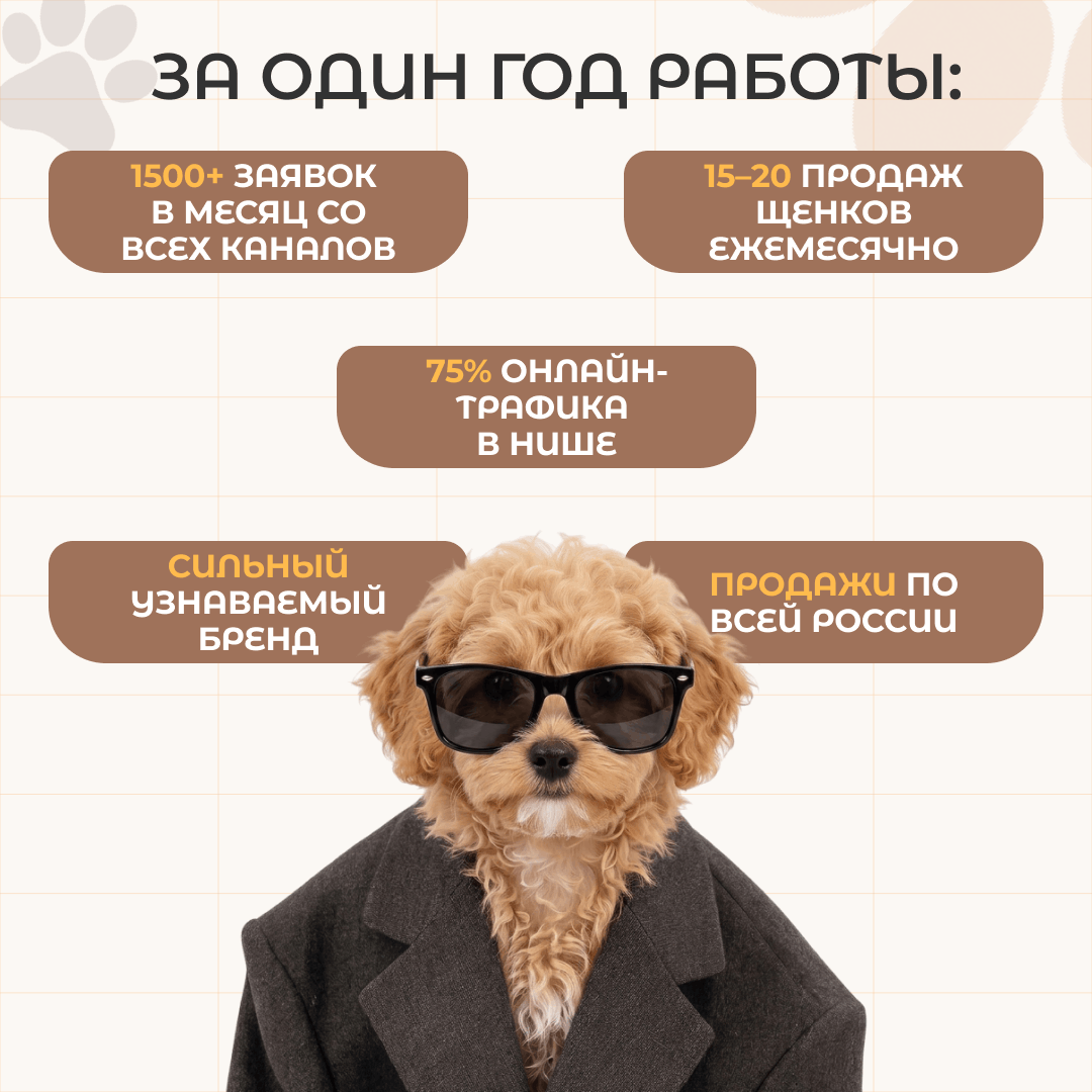 Комплексный интернет маркетинг для питомника 