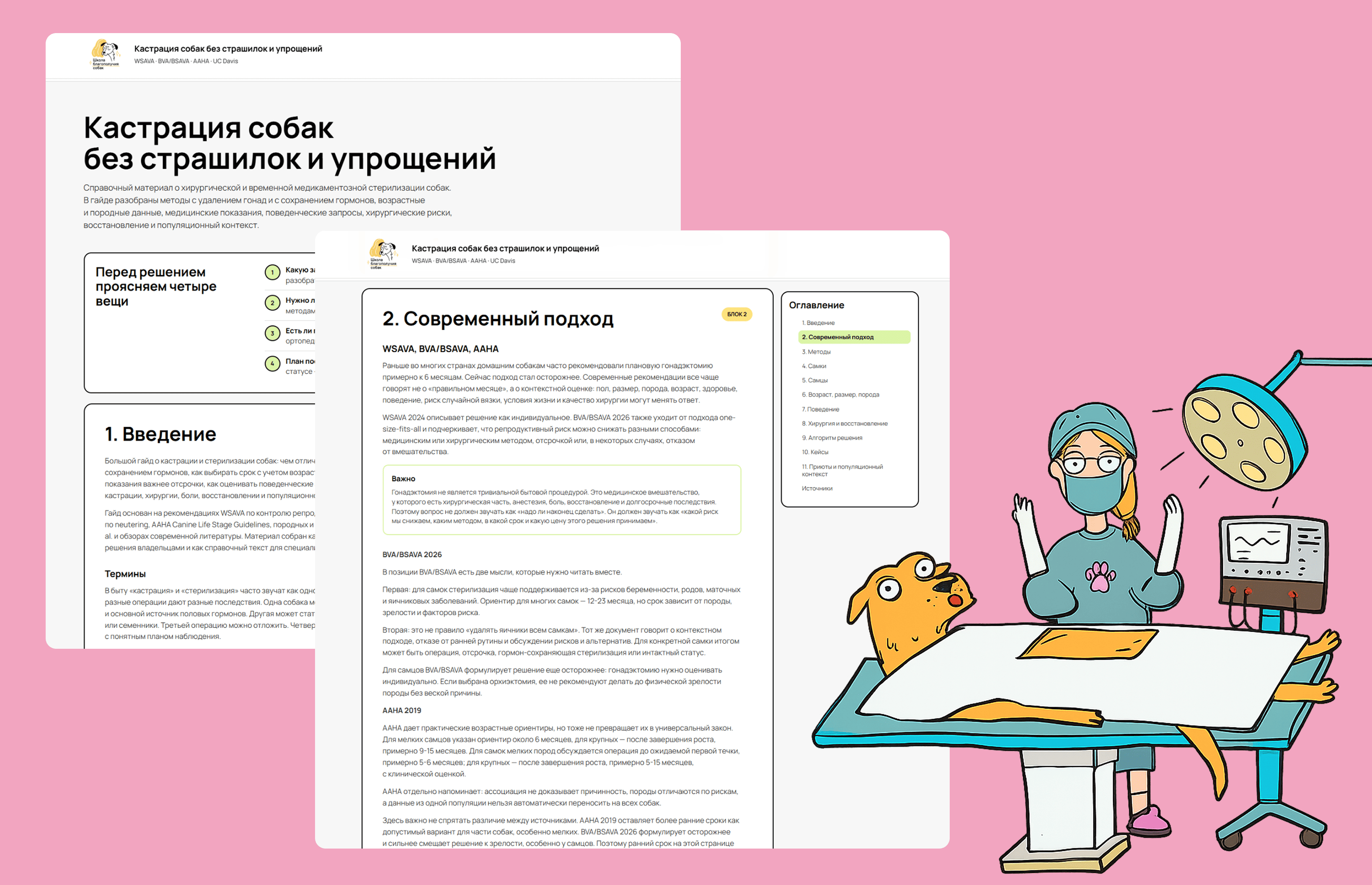 Кастрация собак без страшилок и упрощений