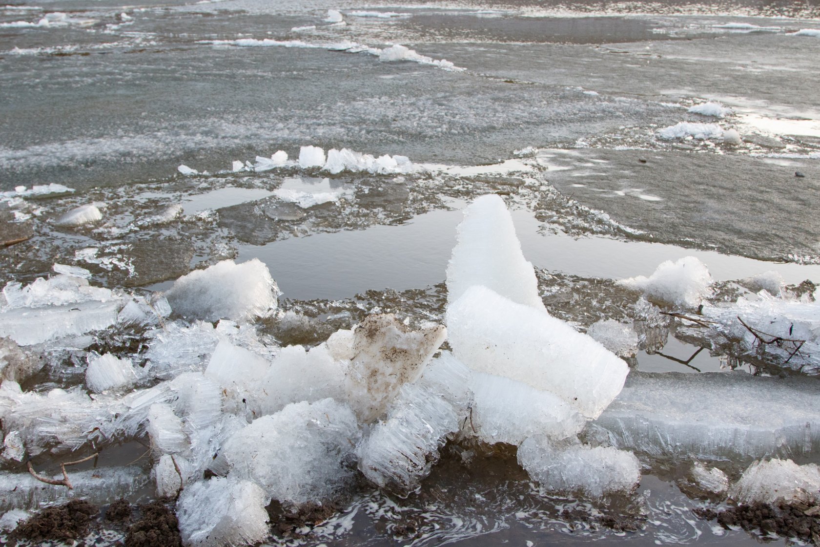 Когда водоемы очистились ото льда