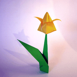 Оригами-тюльпан из бумаги - Оригами из бумаги