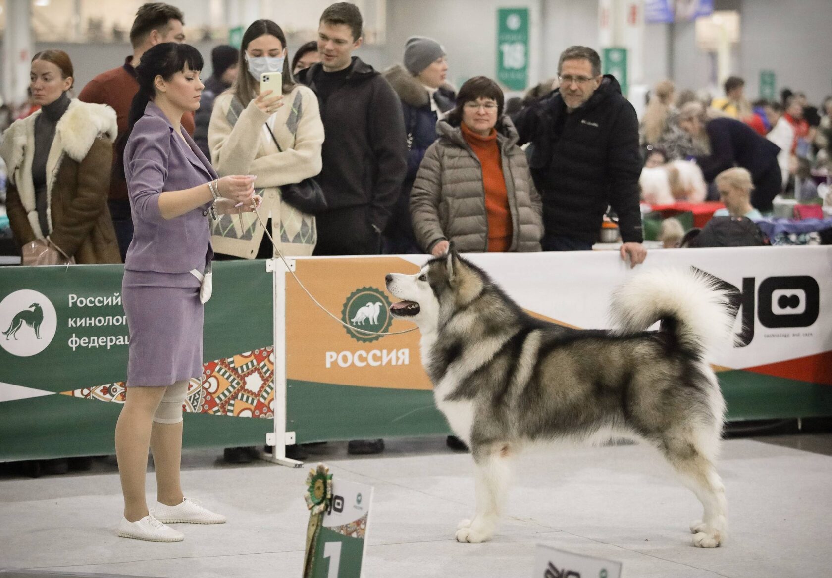 Собака на выставке — фото 2