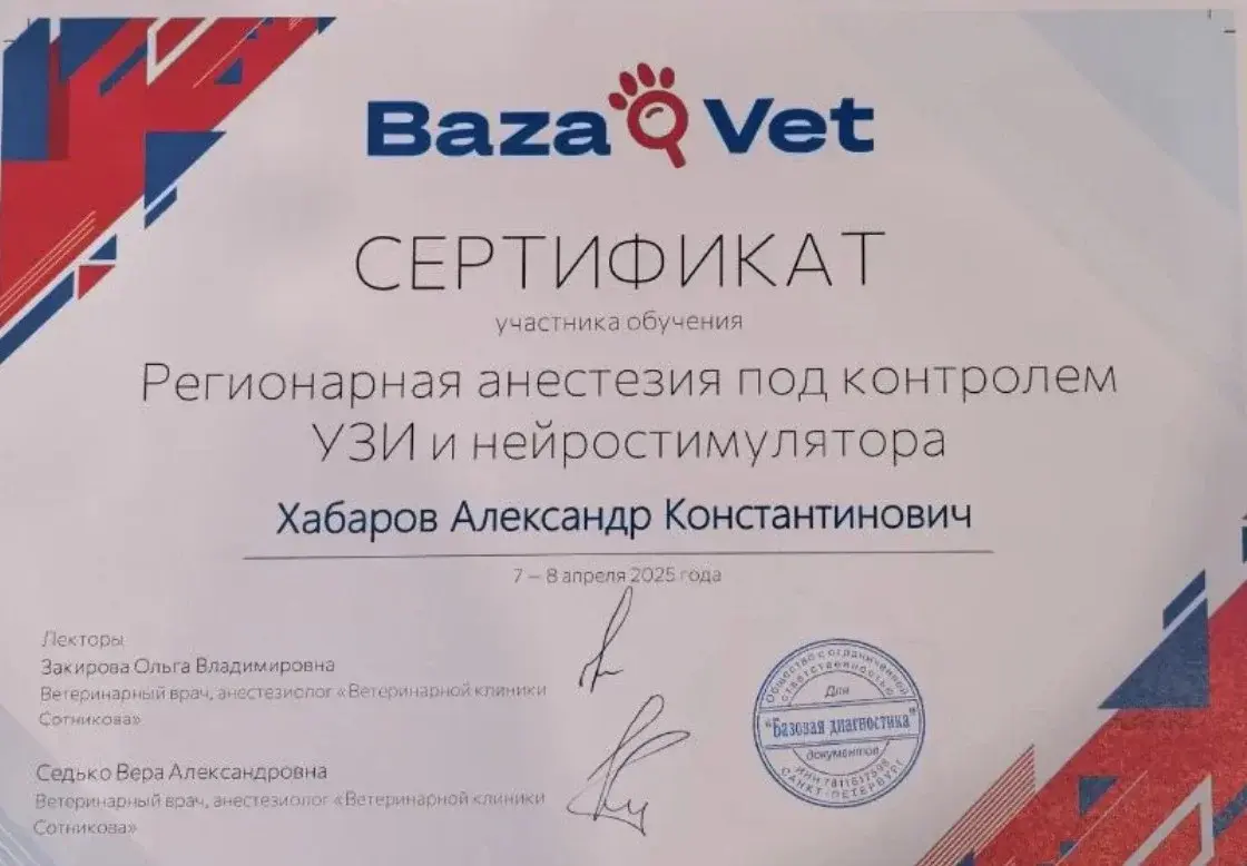 Сертификат 1 Хабарова А.К.