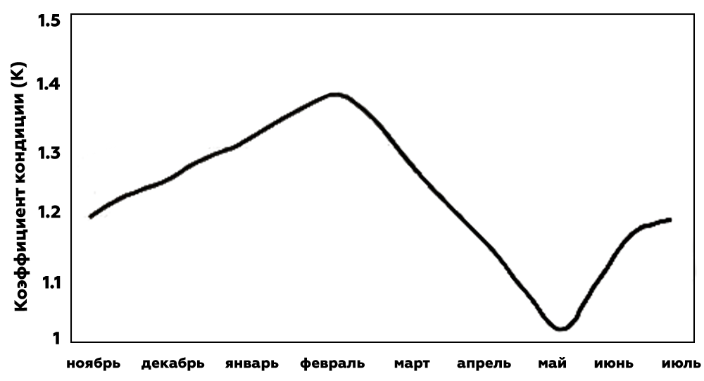 коэффициент кондиции лосося узв форель