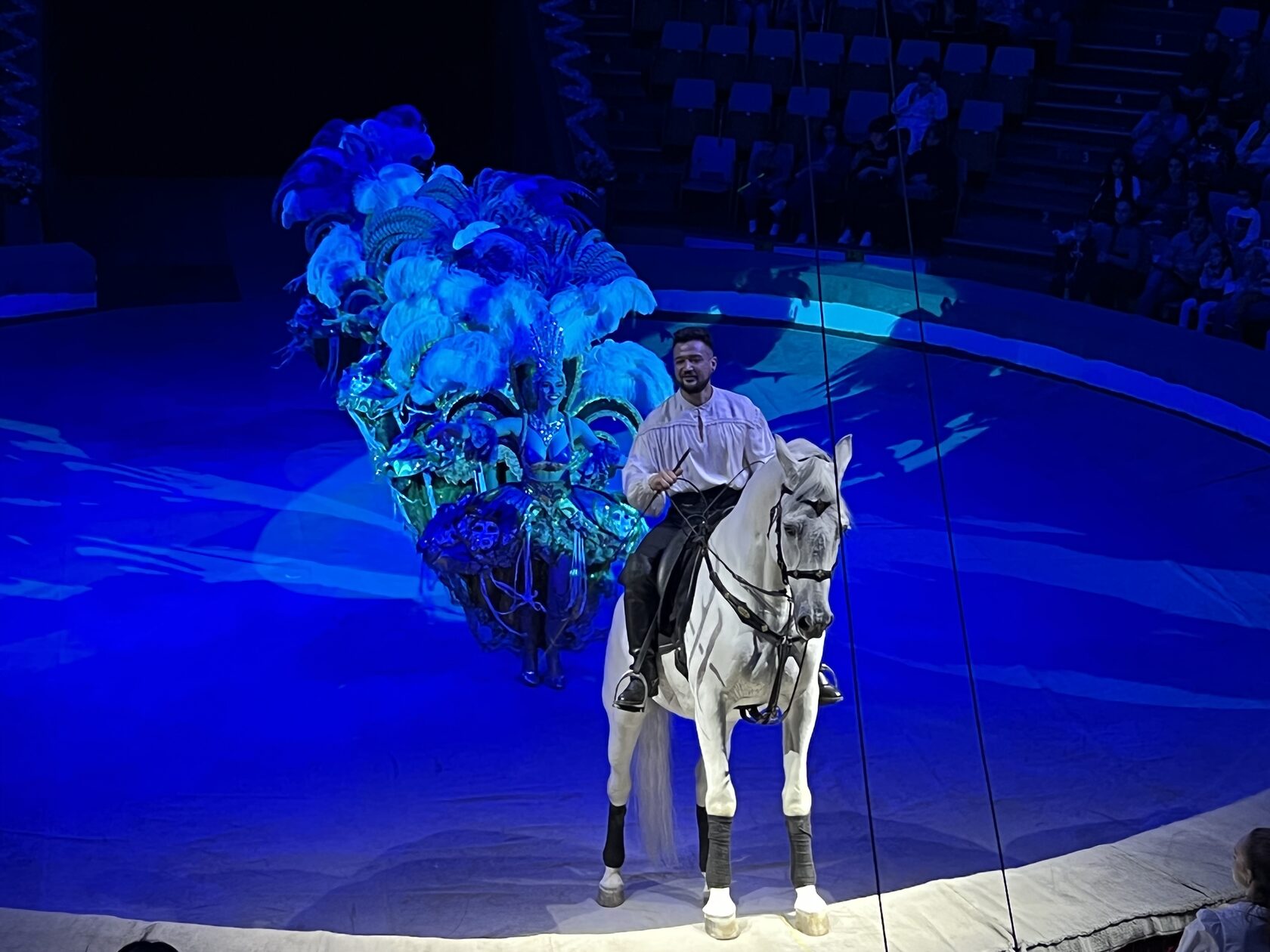 краснодарский цирк новогодние феерия. новогоднее представление. новогодняя феерия цирк краснодар. краснодарский цирк новогодние феерия. новогодняя феерия краснодар.