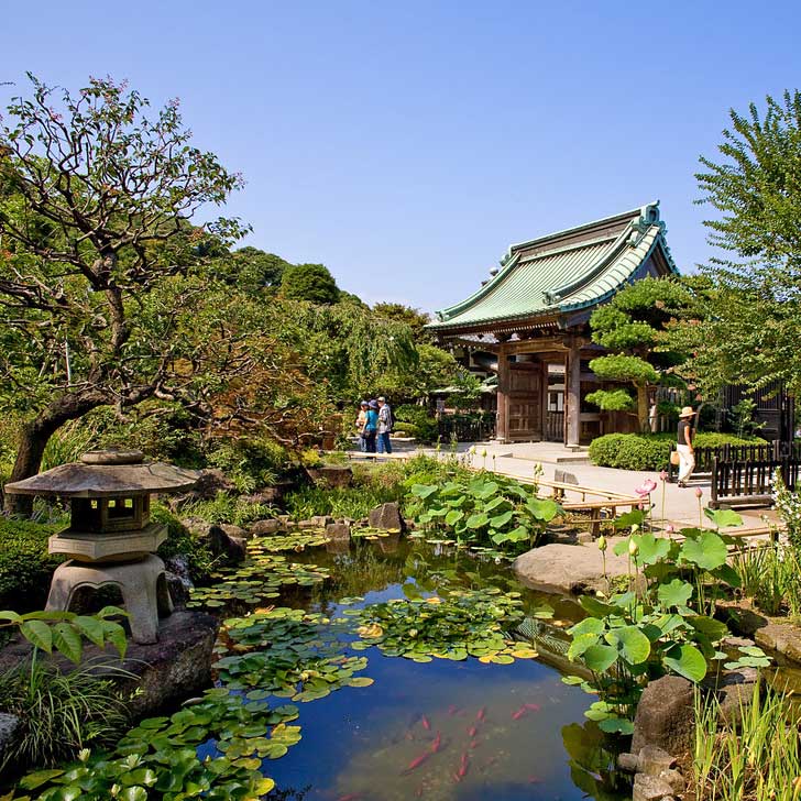 Чудеса японии