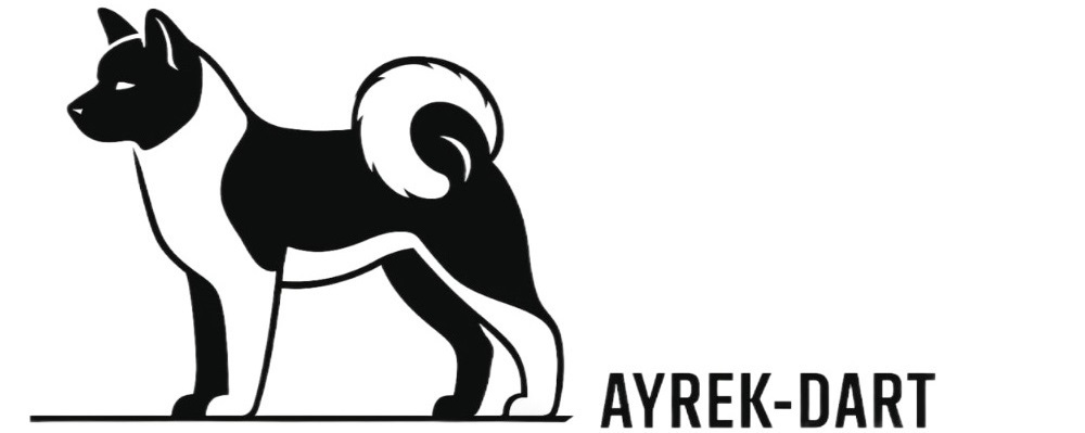 AYREK-DART