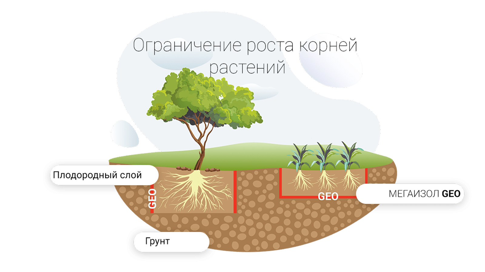 Ограничение роста. Рост корней. Ограничение роста растений геотекстилем. У растений ограниченный рост. Рост корней растений.