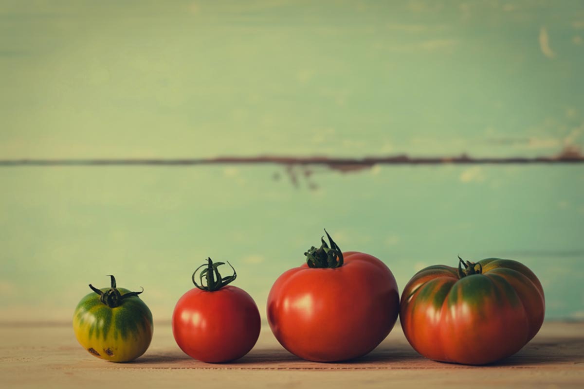Ripe tomatoes of various sizes on wooden surface, emphasizing the importance of crop rotation for healthy gardening and optimal tomato growth.