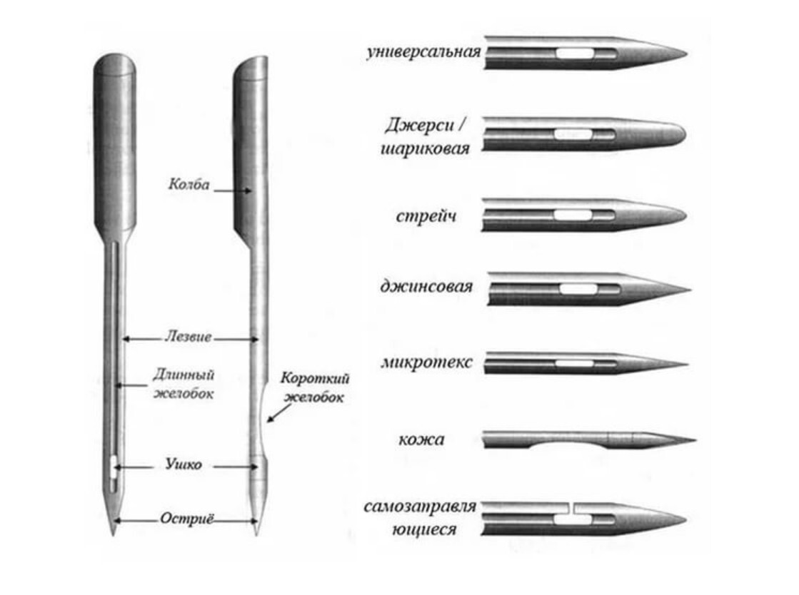 Схема строения машинной иглы: колба, стержень, желобки, ушко и остриё; примеры формы острия