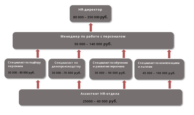 Карьерограмма юриста образец