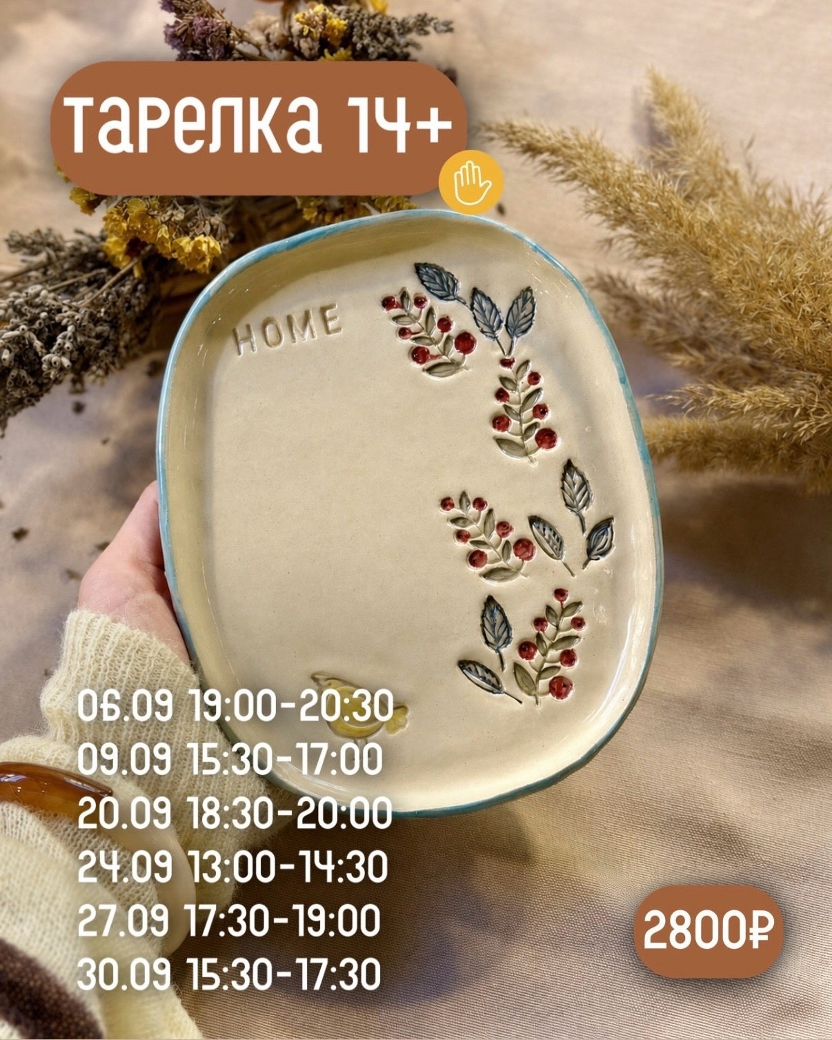 Тарелка 14+