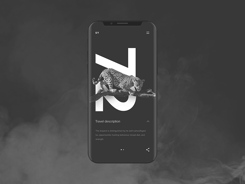 Ясный рисунок