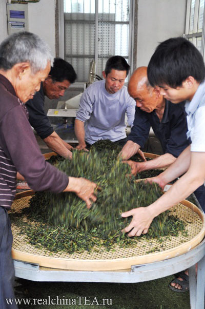 Производство чая Тегуаньинь