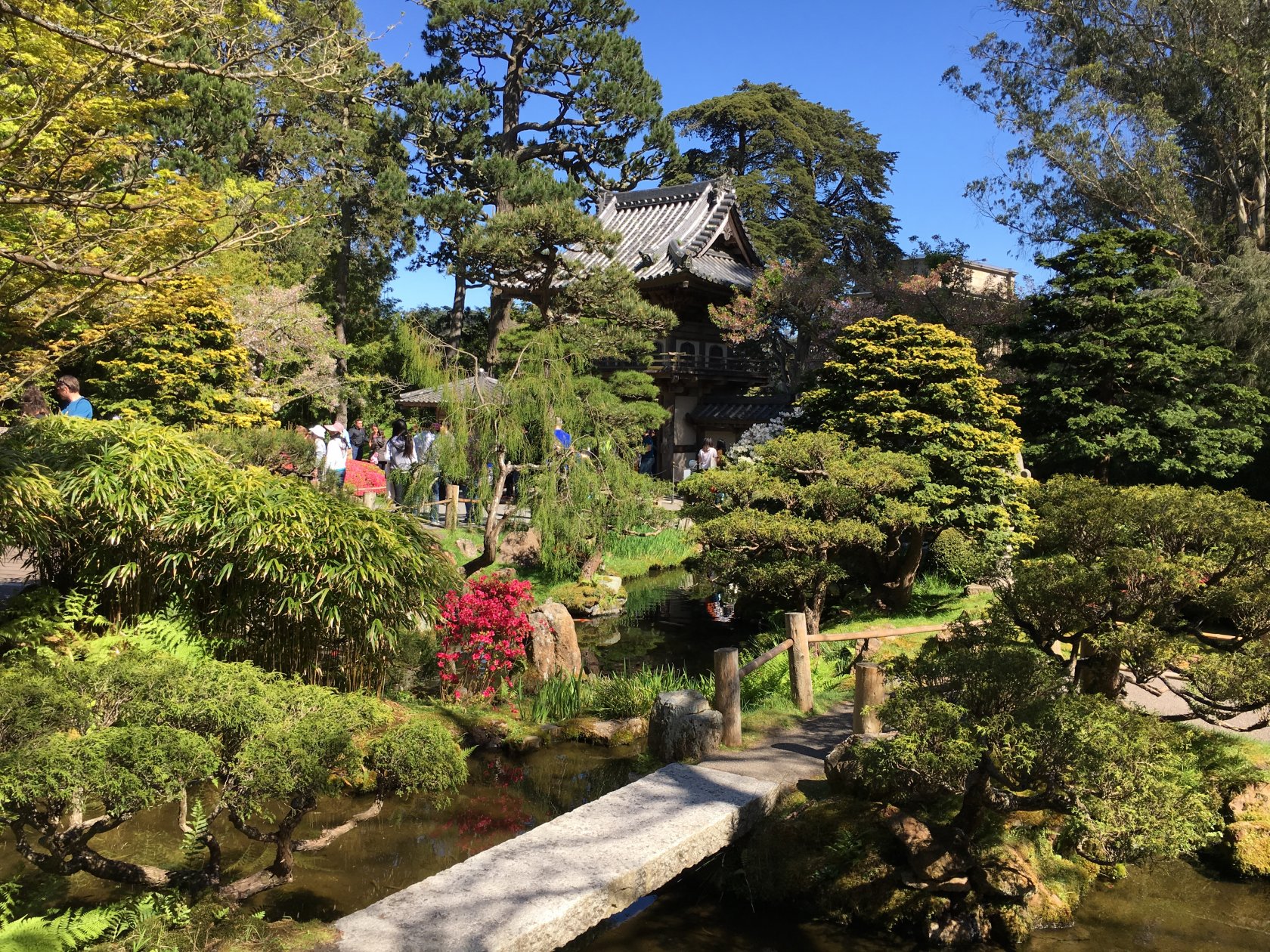 Чайная церемония в японском саду. Японский чайный сад в Сан-Франциско. Чайный сад Тянива в Японии. Чайный сад Родзи в Японии. Сад – Тянива в Японии чайная церемония.