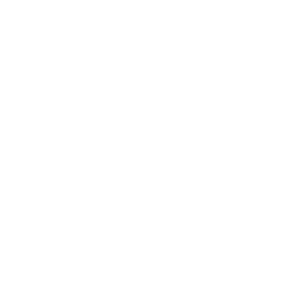 website icon