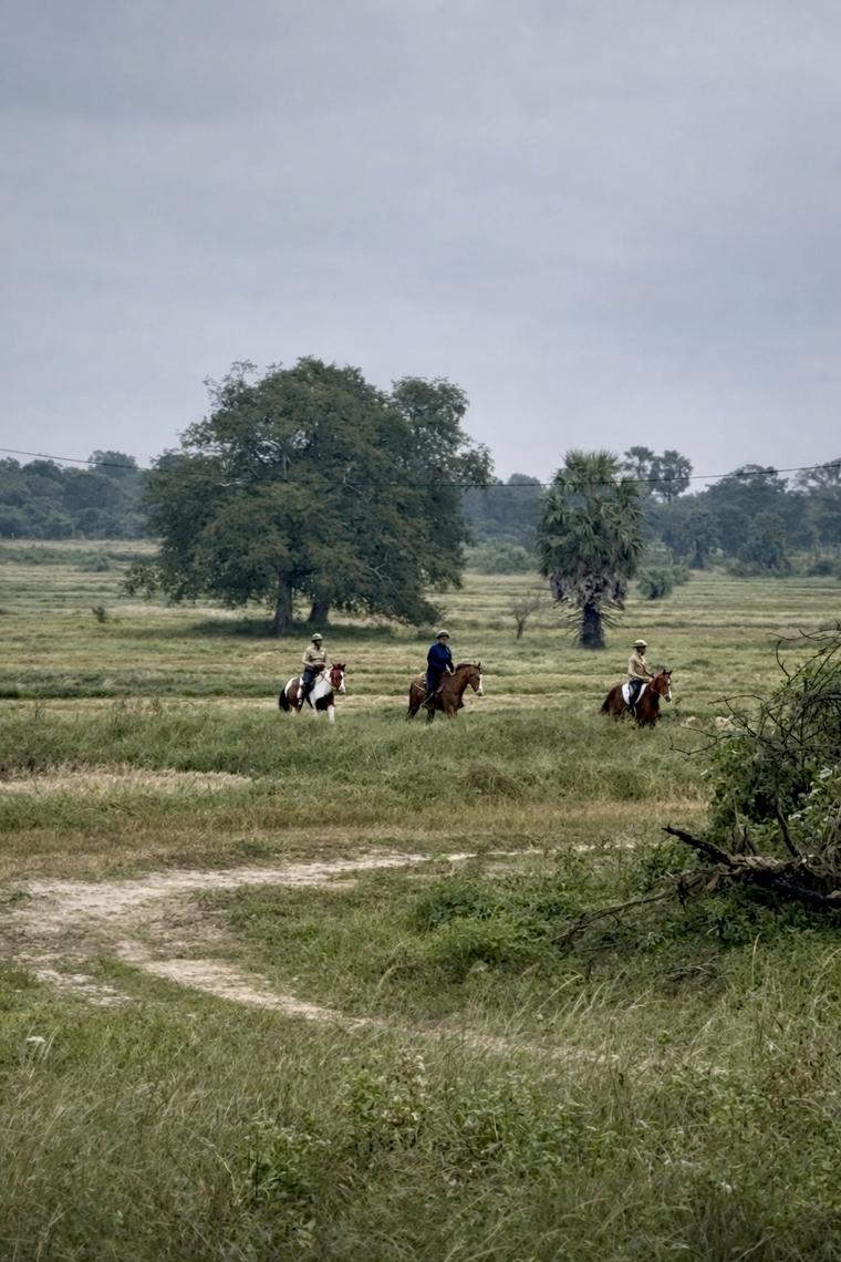 Three riders crossing open grasslands during a guided horseback trail ride at Vonfidel Ranch in Sri Lankas Eastern Province.