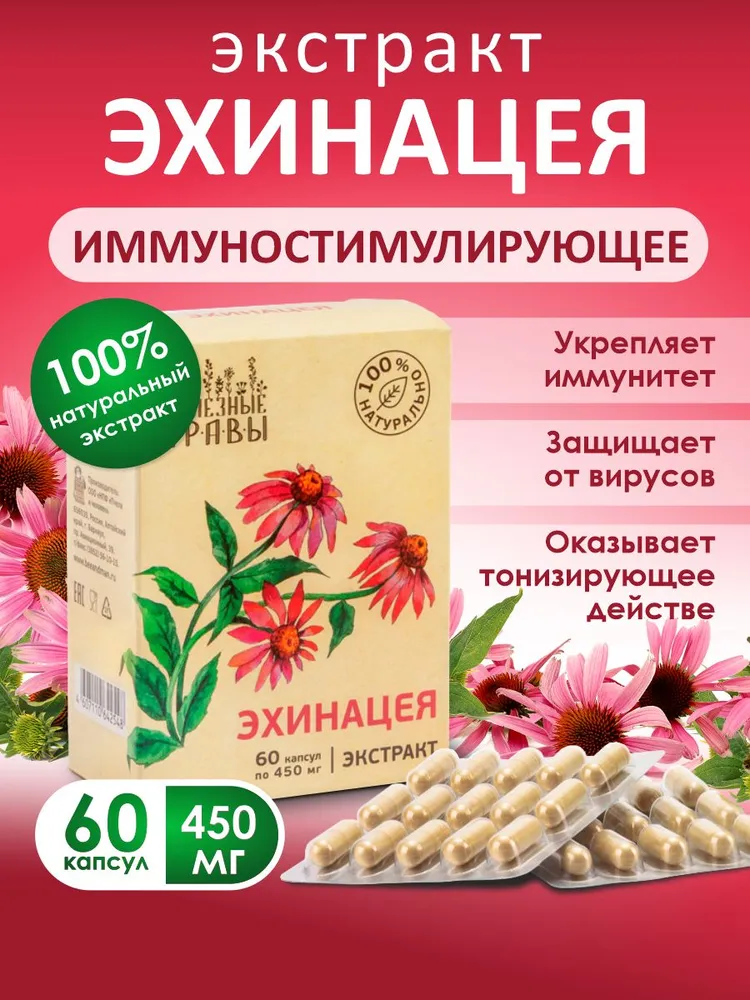 Эхинацея в капсулах для иммунитета