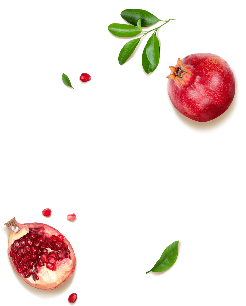 Проснись и пой Онлайншкола Ovoshi School