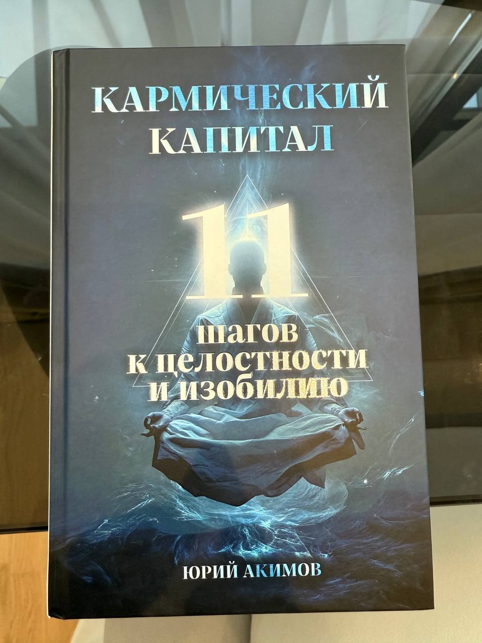 Обложка книги «Кармический капитал»