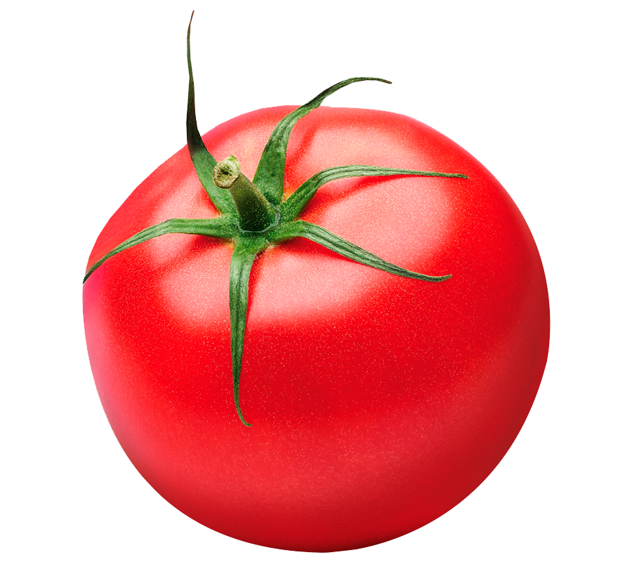 Помидорчик. Черри Плам помидоры. Помидор на белом фоне. Красный помидор. Томат на белом фоне.