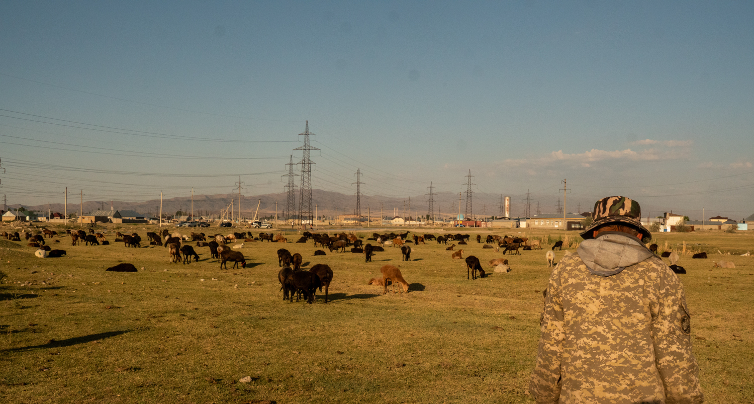 Вакфу порно көру