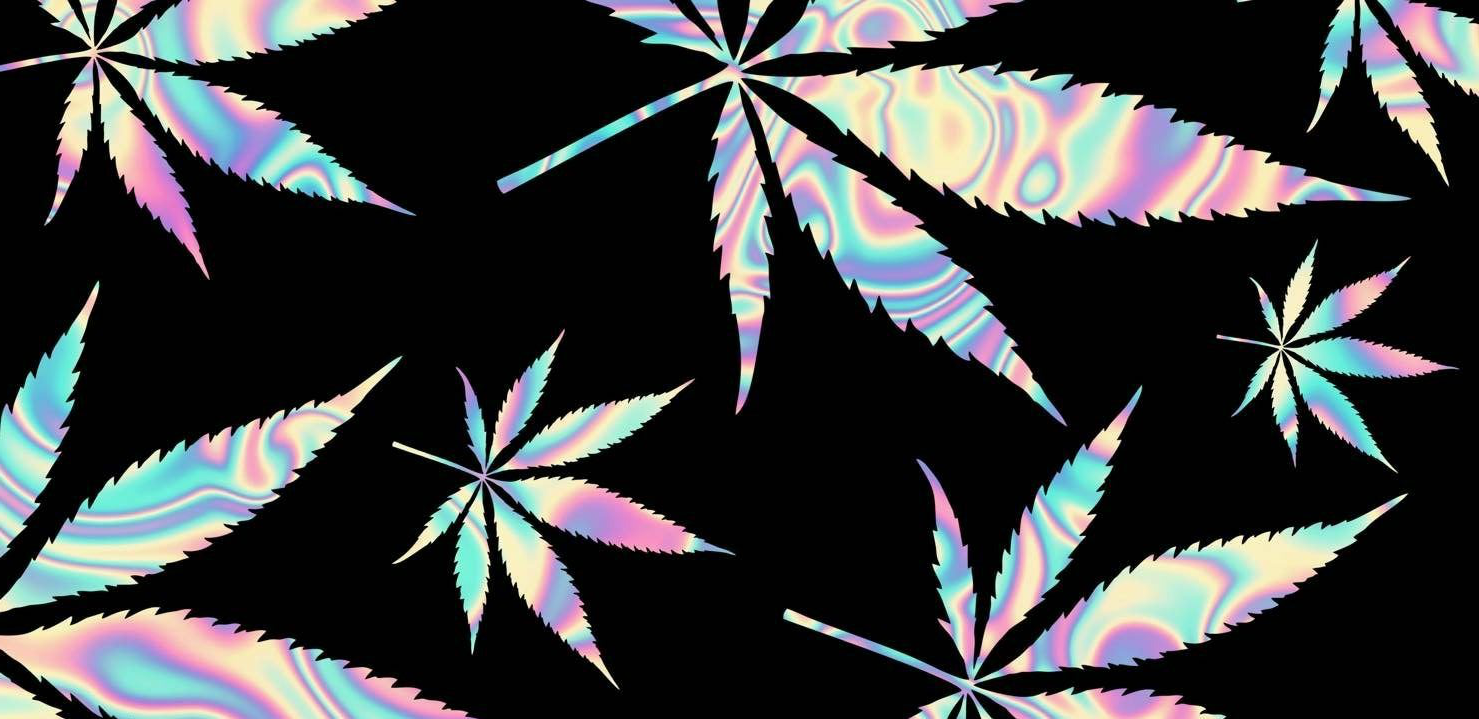 Купить марихуану в грузии кофта с рисунком марихуаны