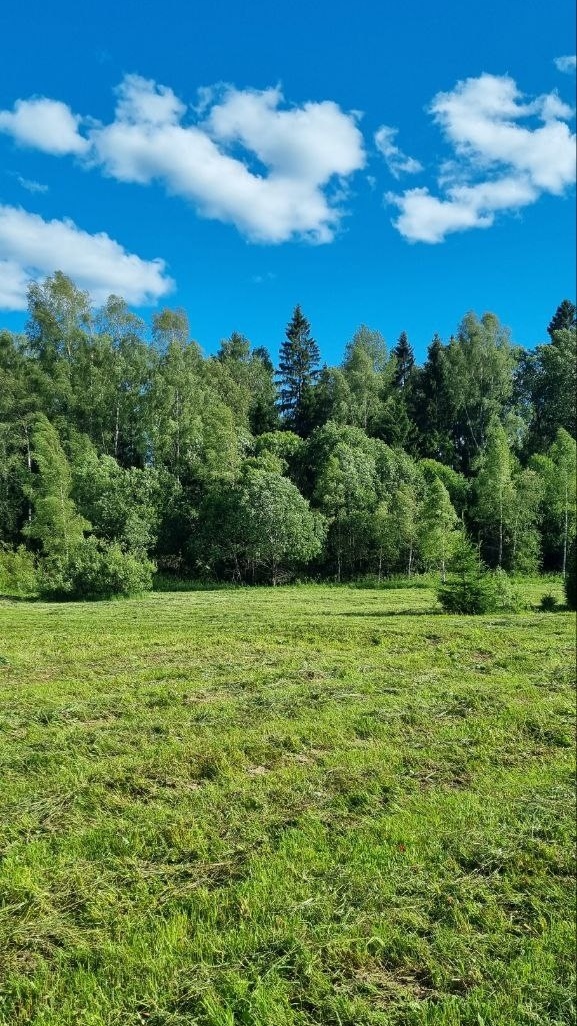 участок по новорижскому шоссе
