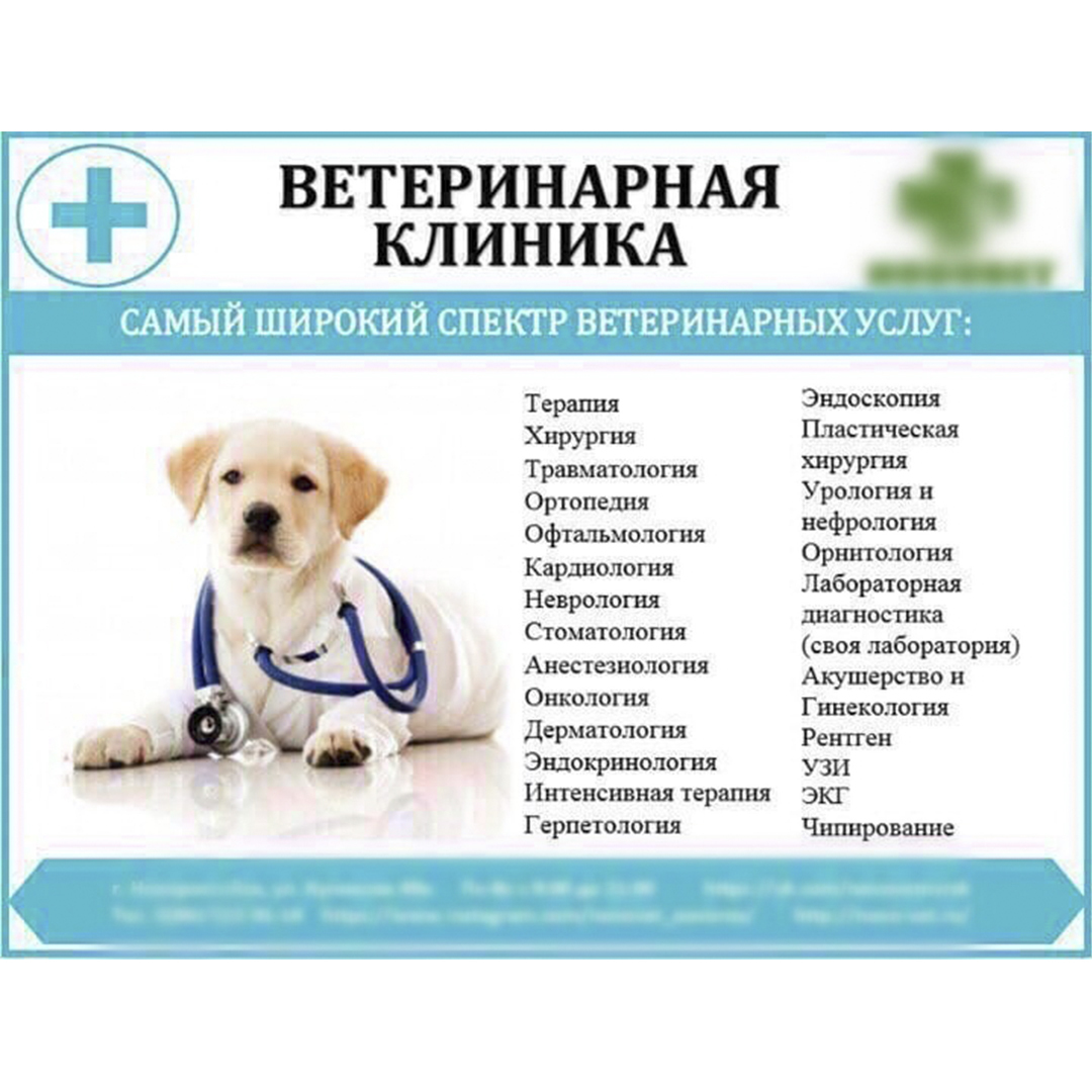 Услуги ветеринарной клиники