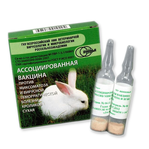 Ассоциированная вакцина против миксоматоза и вгбк. ВГБК вакцина для кроликов. ВГБК И миксоматоз. Миксоматоз и ВБГ кроликов. Возбудитель миксоматоза кроликов.