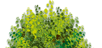 Дети играют в лазертаг на улице и в помещении