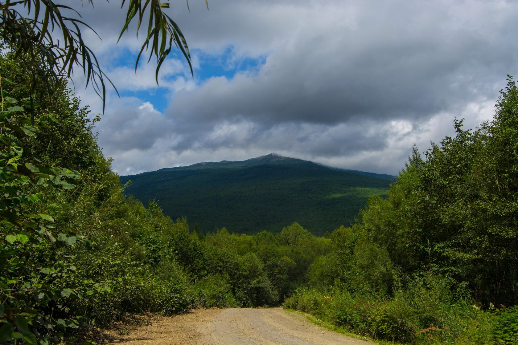 Кутузовка хабаровский край фото