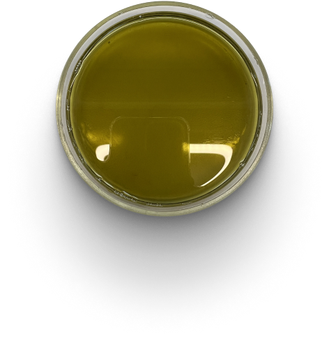 Масляный экстракт из бурых водорослей | Seaweed