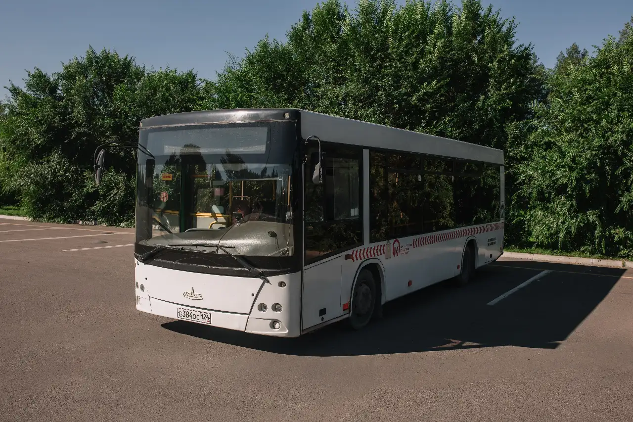 Маз 206