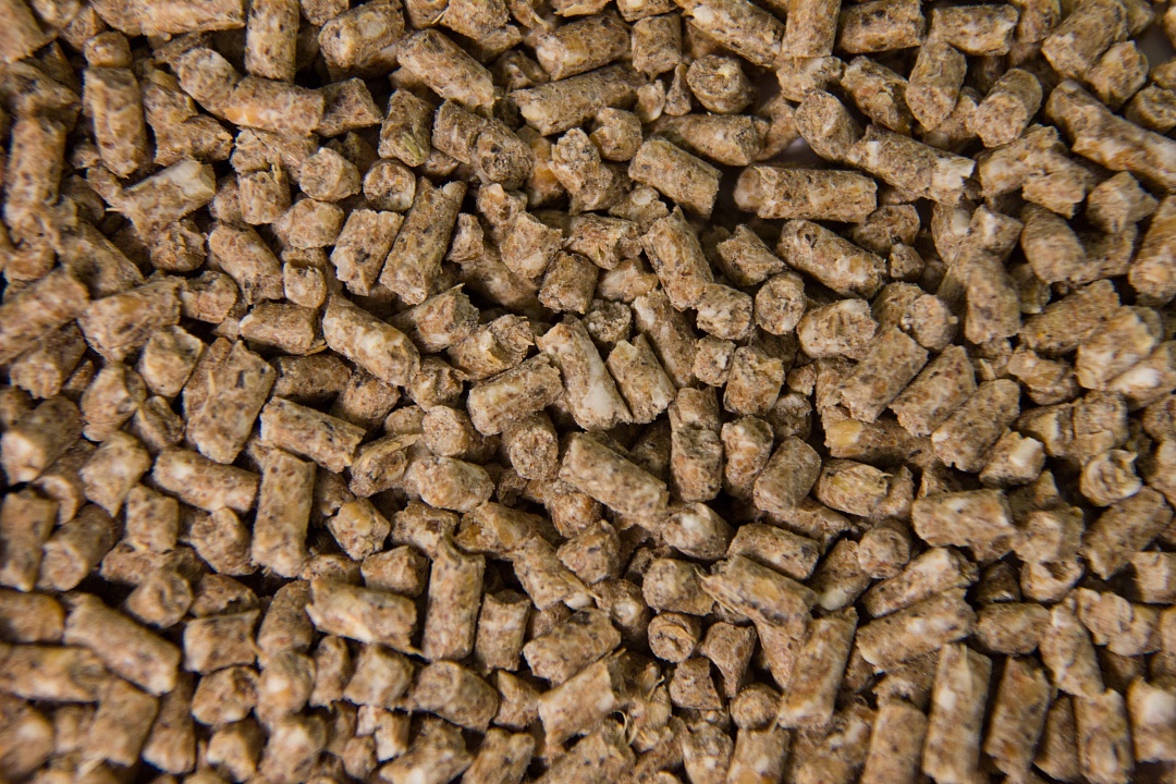 Спк сельхозкорм профит. Спк «сельхозкорм профит кинель-черкассы». Спк сельхозкорм профит. Городская мегаферма муданьцзян. Мегаферма muyuan.