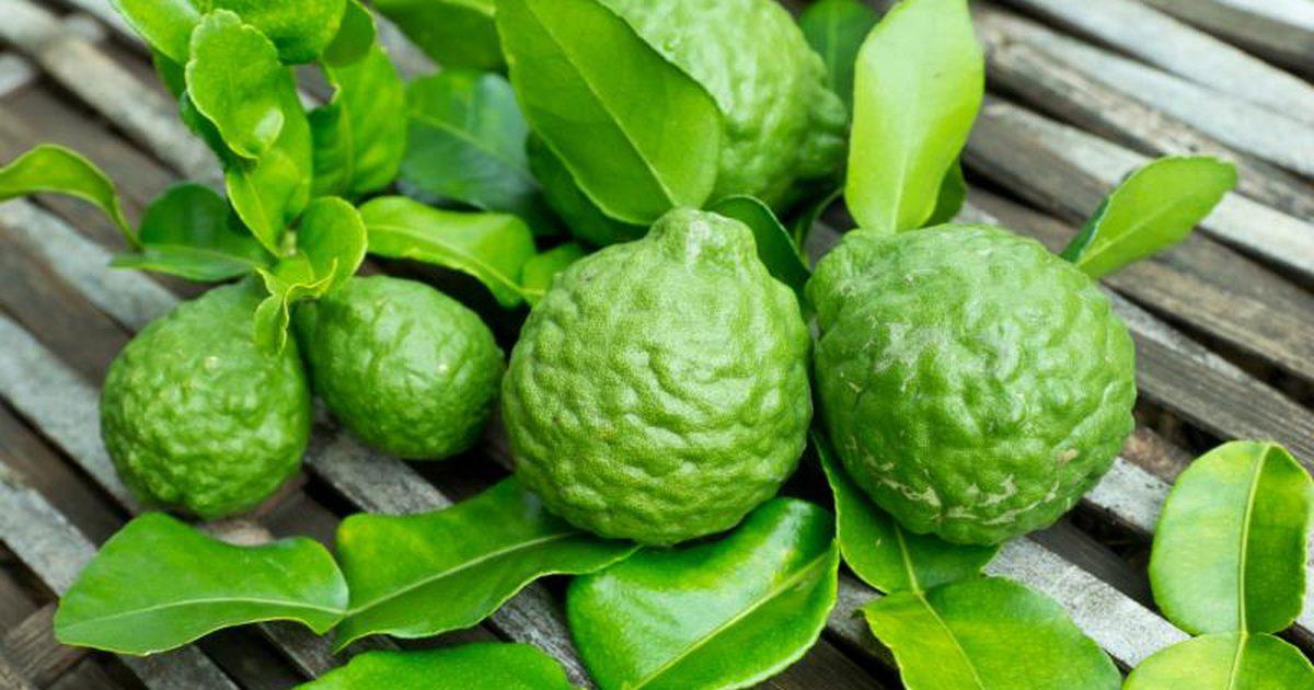 Bergamot восточная ул 12 фото Бергамот BY KAORI