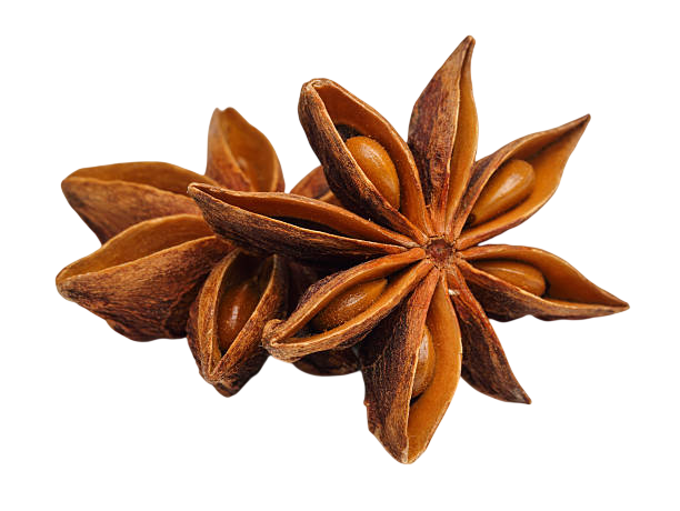 Пряности и специи 3D