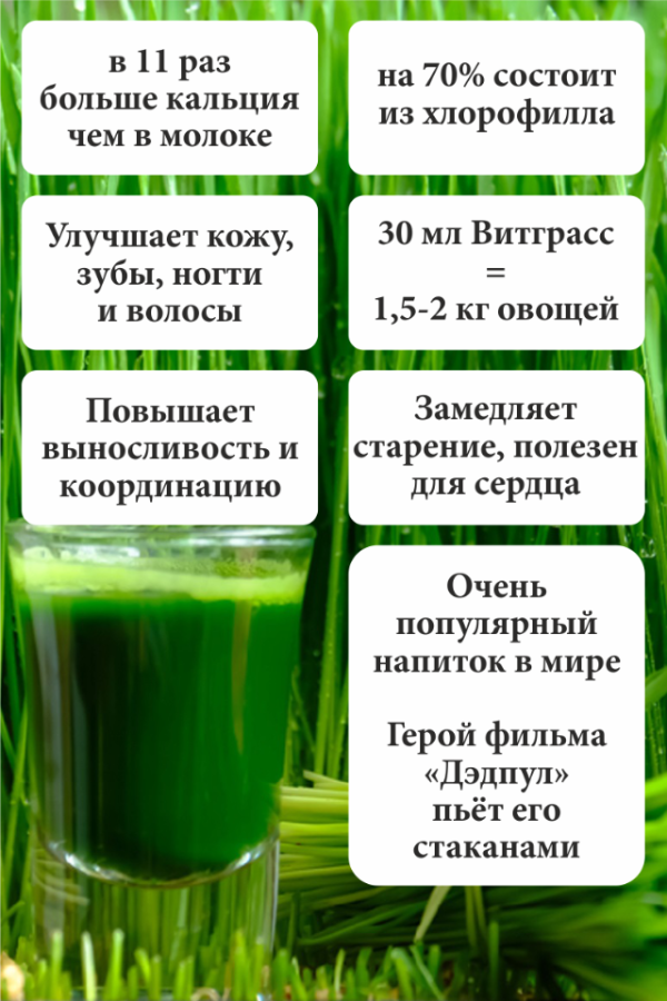 Витграсс что это такое польза и вред. Витграсс в цифрах. Витграсс польза. Витграсс состав витаминов. Витграсс таблица полезных веществ.