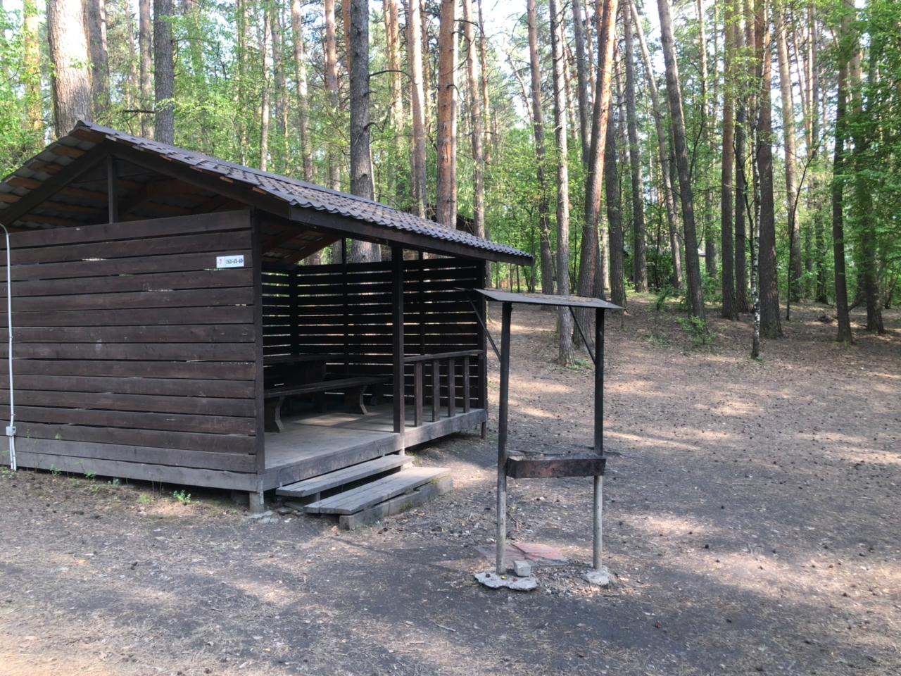 Беседки и гриль-домики в Заельцовском парке, Бугринской роще и на  Бугринском пляже