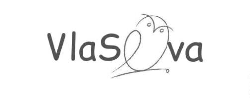 ИП Власова Айгуль Абдулловна