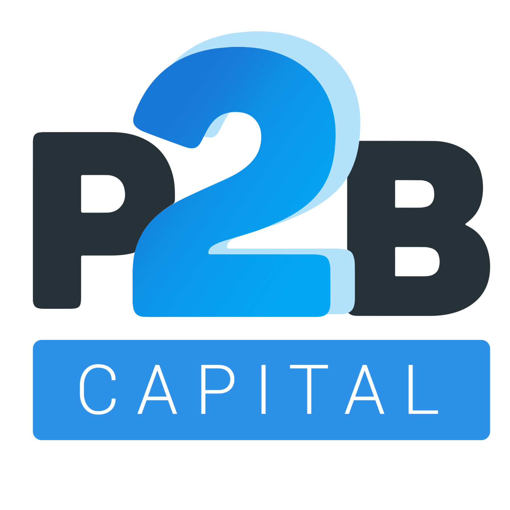 B 1 capital