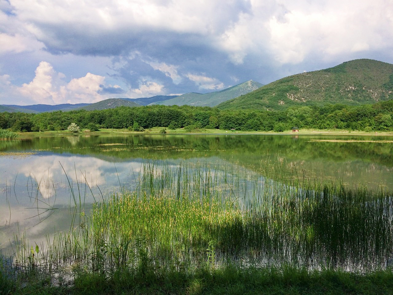 Скелепарк отель