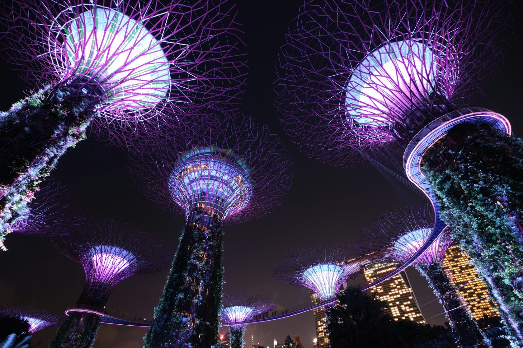 Супердеревья Gardens by the Bay
